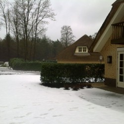 Besneeuwd terrein Besneeuwd terrein