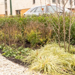 Blad verwijderen in de herfst Blad verwijderen in de herfst