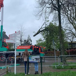 Boom kappen in Huizen Boom kappen in Huizen