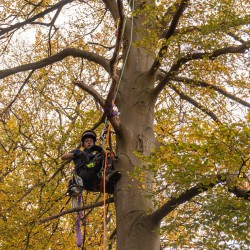 Boomverzorgers Hoveniersbedrijf De Vuursche Boomverzorgers Hoveniersbedrijf De Vuursche