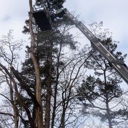 Boomverzorgers van Hoveniersbedrijf De Vuursche Boomverzorgers van Hoveniersbedrijf De Vuursche