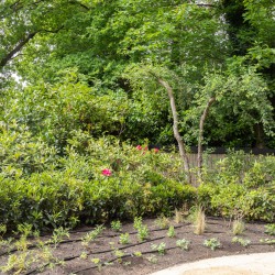 Druppelleiding in de borders