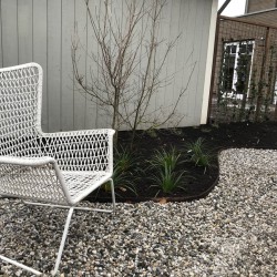 Grind met organisch gevormde borders Grind met organisch gevormde borders