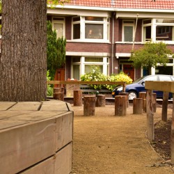 Groen schoolplein met bomen