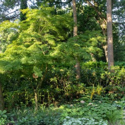 Groene tuin zorginstelling Zeist