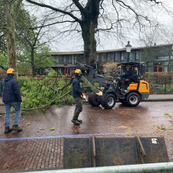 Grondteam boomverzorgers Grondteam boomverzorgers