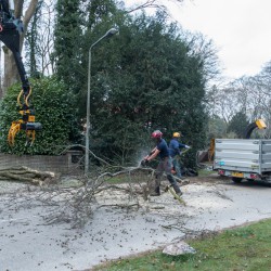 Grondteam ruimt takken op