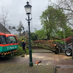 Grote boomtakken verwijderen