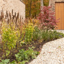 Herfsttuin Herfsttuin