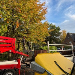 Hoge bomen snoeien Hoge bomen snoeien