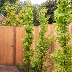 Houten Erfafscheiding Japandi stijl Houten Erfafscheiding Japandi stijl