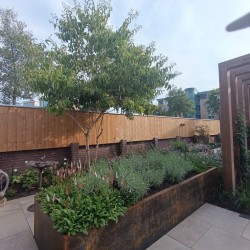 Nieuwe achtertuin