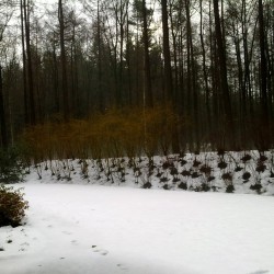 Sneeuw op de weg Sneeuw op de weg