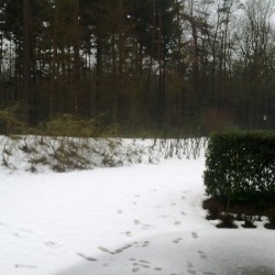 Sneeuw schuiven Sneeuw schuiven