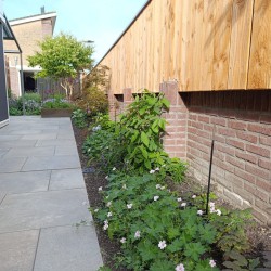 Stijlvolle achtertuin