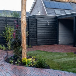 Straatwerk met organische lijnen Straatwerk met organische lijnen