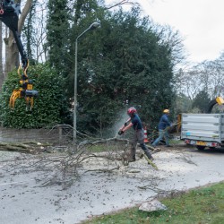 Takken direct versnipperd en afgevoerd Takken direct versnipperd en afgevoerd