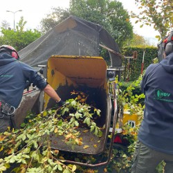 Takken opruimen Takken opruimen