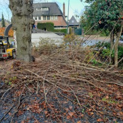 Takken opruimen lindeboom