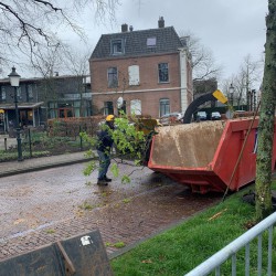 Takkenversnipperaar Takkenversnipperaar