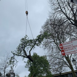 Telescoopkraan erbij Telescoopkraan erbij