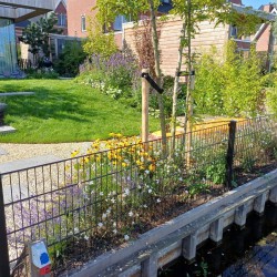 Tuin aan het water in Weesp