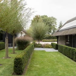 Tuin onderhouden door hoveniersbedrijf Tuin onderhouden door hoveniersbedrijf