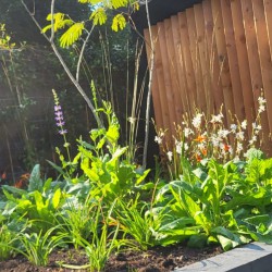 Tuinaanleg met verandabouw Tuinaanleg met verandabouw