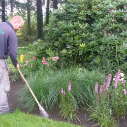 Tuinonderhoud Hoveniersbedrijf De Vuursche Tuinonderhoud Hoveniersbedrijf De Vuursche
