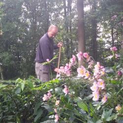 Tuinonderhoud Nijkerk Tuinonderhoud Nijkerk