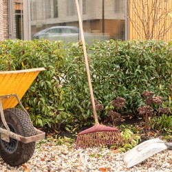 Tuinonderhoud in de herfst Tuinonderhoud in de herfst