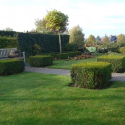 Tuinonderhoud najaar Tuinonderhoud najaar