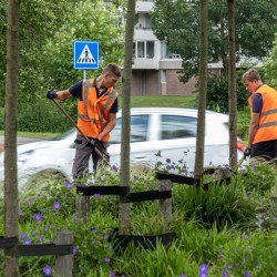 Tuinonderhoud rotondes Tuinonderhoud rotondes