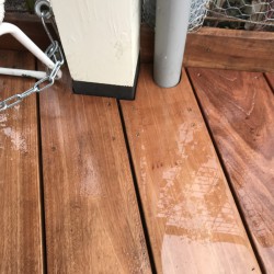 Vakmanschap hovenier Vakmanschap hovenier