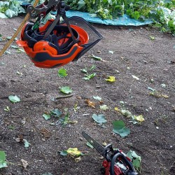 Veilig bomen snoeien Veilig bomen snoeien