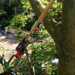 Veilig in de boom klimmen Veilig in de boom klimmen