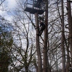 Verwijderen acacia Verwijderen acacia