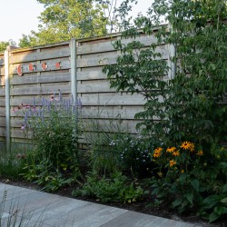 Warmte in de levendige tuin