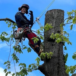 Willem Ruitenbeek ETW-er Willem Ruitenbeek ETW-er