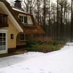 Winterse tuin Winterse tuin