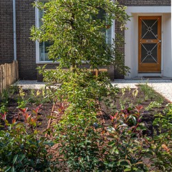 Zichtlijn richitng de woning Zichtlijn richitng de woning