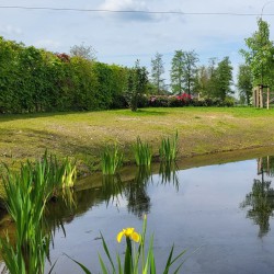 Zwemvijver in grote tuin Zwemvijver in grote tuin