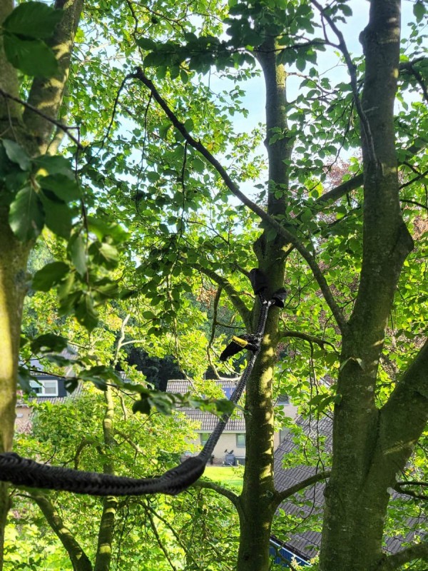 Dynamische kroonverankering