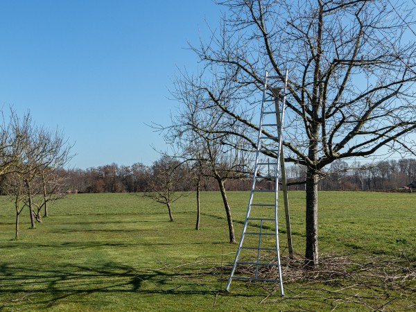 Voorjaar, zeven lente tips Voorjaar, zeven lente tips