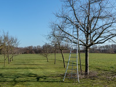 Voorjaar, zeven lente tips