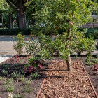 Aanzicht richting straat Aanzicht richting straat