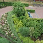 Fraaie ronding tuin Soest Fraaie ronding tuin Soest