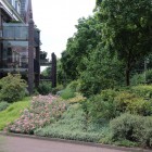 Goede plantenkeuze tuin Soest Goede plantenkeuze tuin Soest