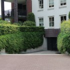 Groen bij appartementencomplex Groen bij appartementencomplex