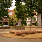 Houten boomstammen op het schoolplein